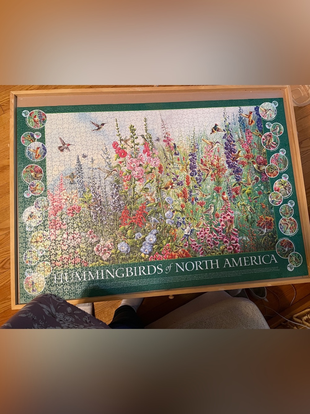 Hummingbirds of North America Floral Puzzle - Cobble Hill